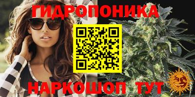 эйфоретик Чапаевск