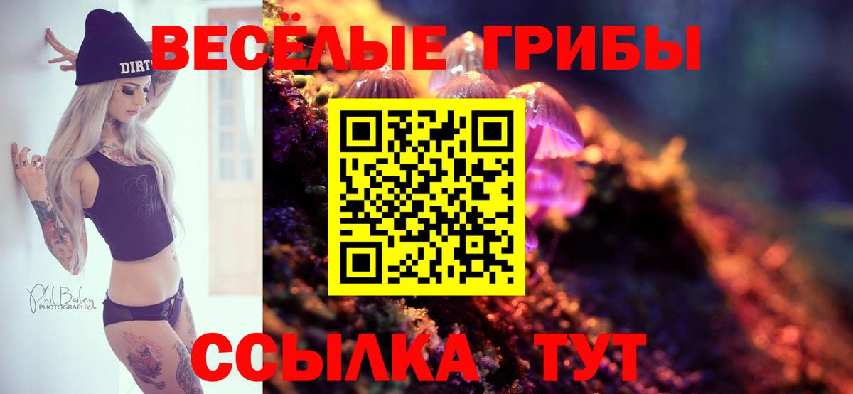 Псилоцибиновые грибы прущие грибы  Вход с VPN  Сергиев Посад 